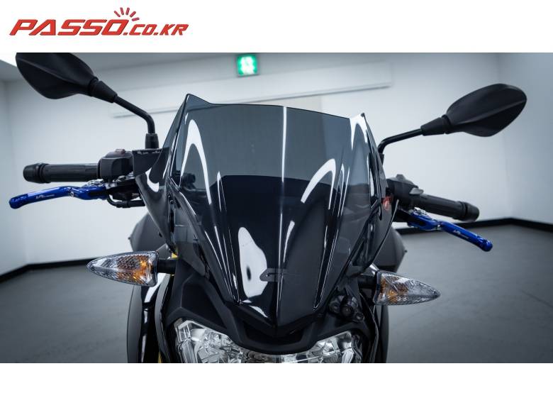 BMW G310R
